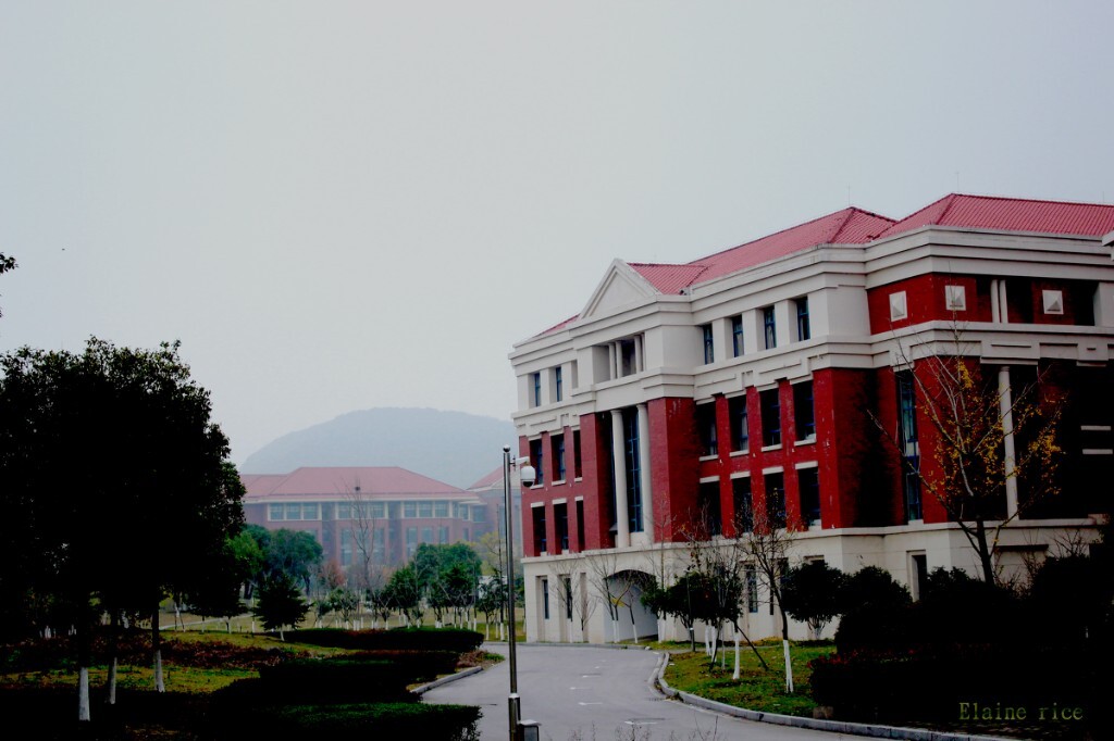 学校