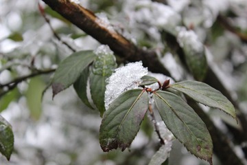 IMG_0248.JPG