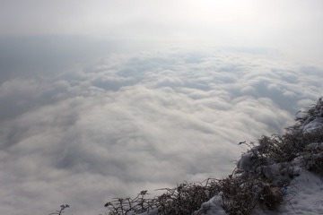 IMG_1124.JPG
