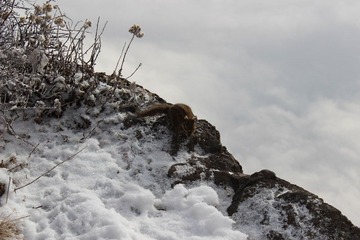 IMG_1135.JPG