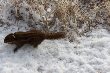 IMG_1173.JPG