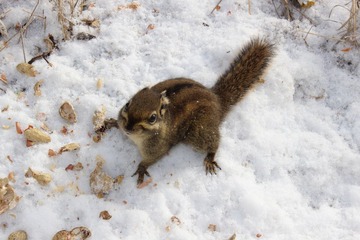 IMG_1181.JPG