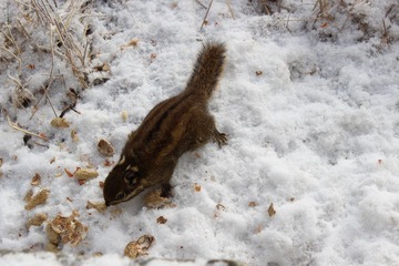 IMG_1191.JPG