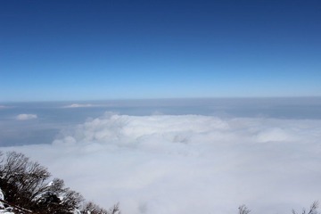 IMG_1274.JPG
