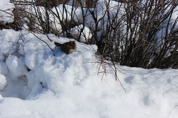IMG_1286.JPG