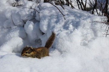 IMG_1289.JPG
