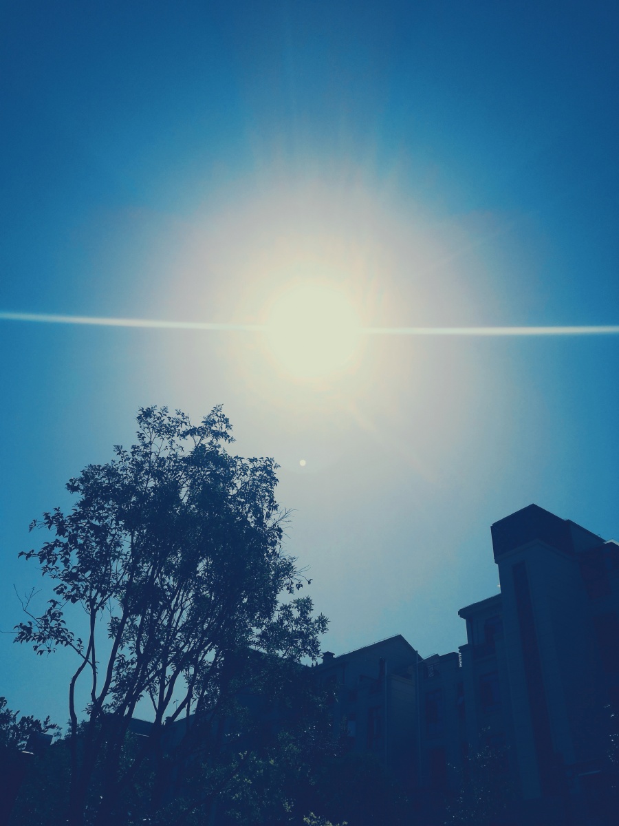 在阳光下的耀眼