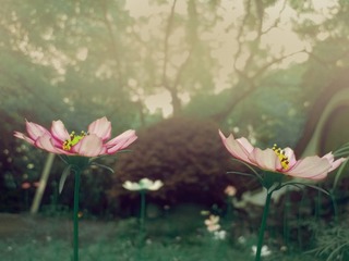 WP_20150523_13_05_19_Pro