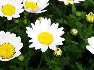P4140019