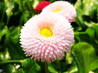 P4140125