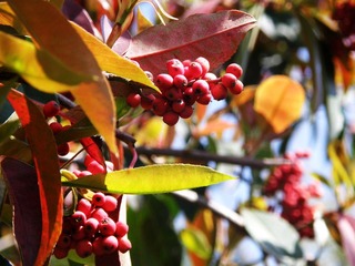 P2030093