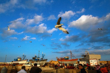 IMG_6744-1