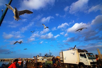IMG_6746-2