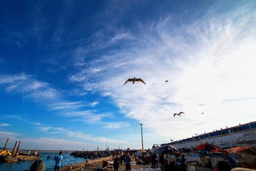 IMG_6456-1