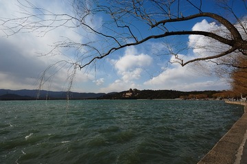 _D7H6543 1