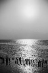 “L1000184”为智能对象-1