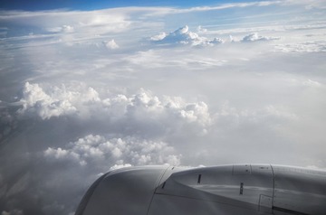 L1000183