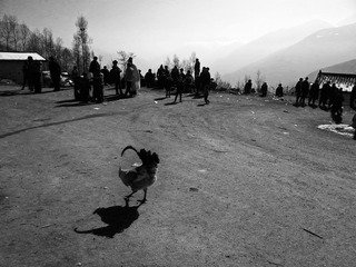 20131231_144743