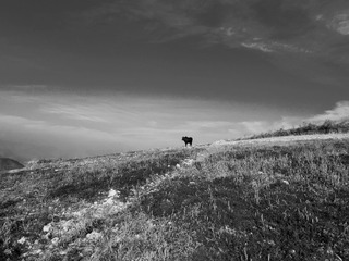 L1240561