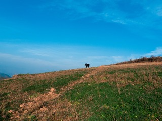 L1240561