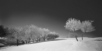 雪国塞罕坝1.jpg