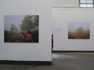 L1110572.jpg