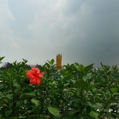 L1170323a.jpg