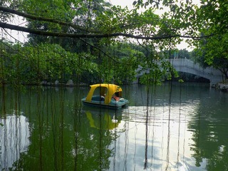 05.jpg