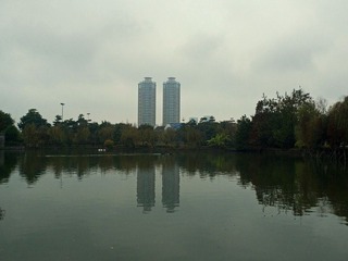 02.jpg