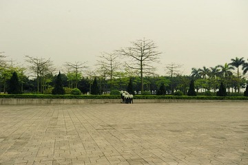 12.jpg