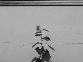 L1090221.jpg