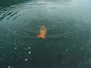 53a.jpg
