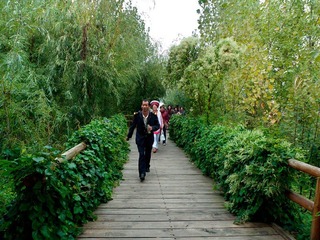 L1100028.jpg