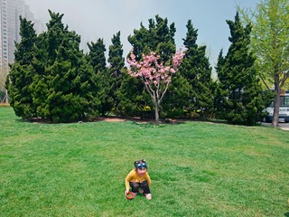 _DSC3242a