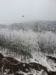 20131231_114205x