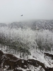 20131231_114205xx