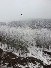 20131231_114205xx