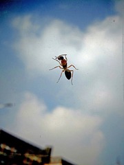 IMG_20140902_085840