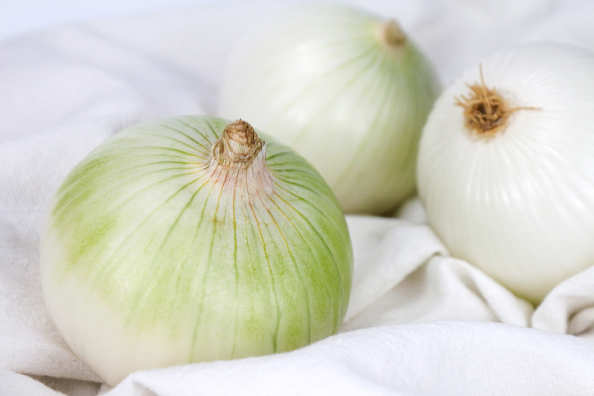 新疆皮牙子白洋葱