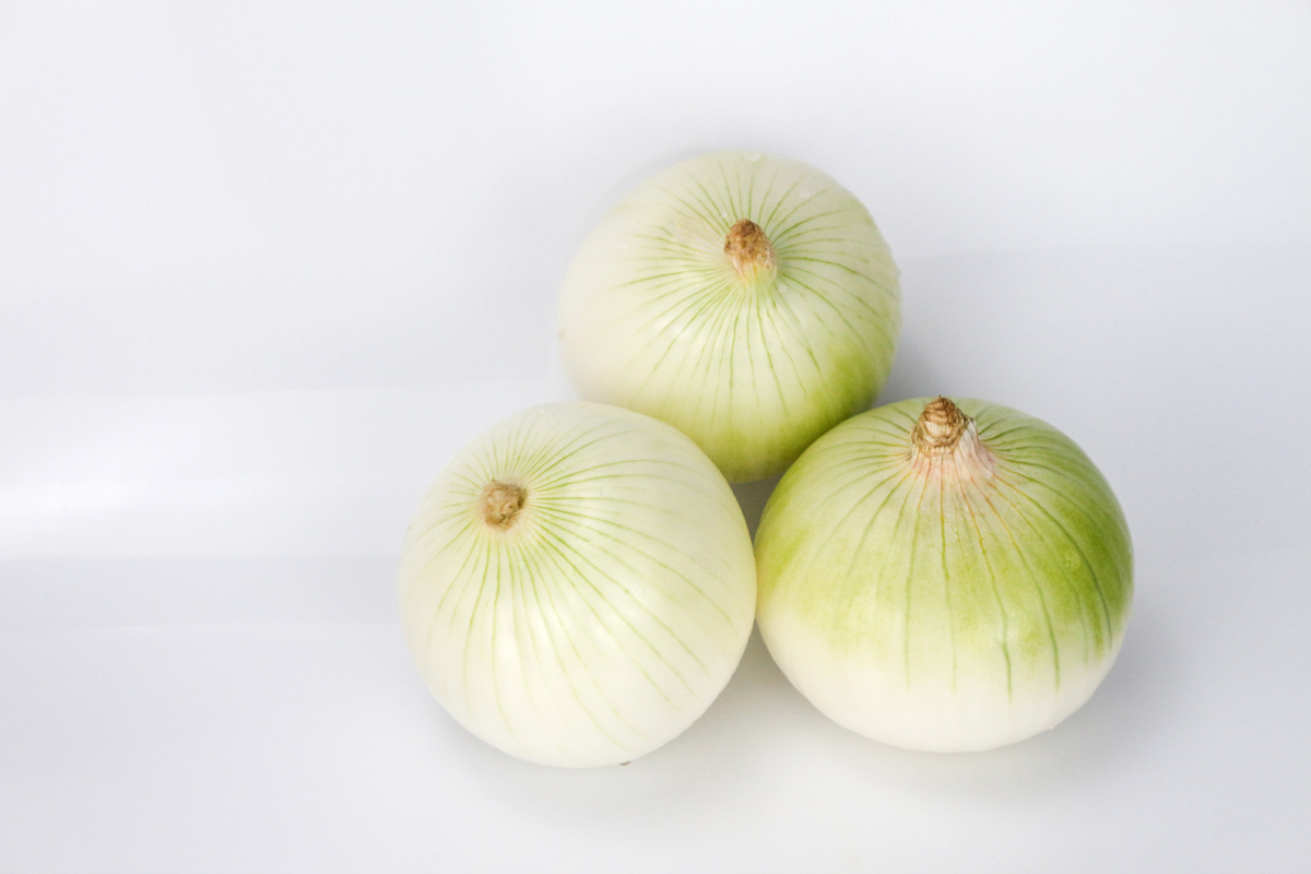 新疆皮牙子白洋葱