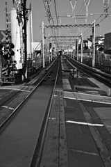 20091018-DSC_0358