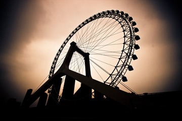 IMG_3391.jpg