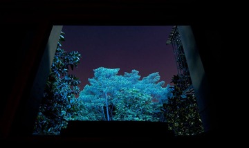 窗外