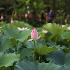 001