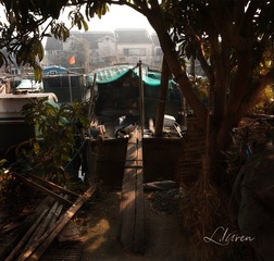SDIM48201_88-00
