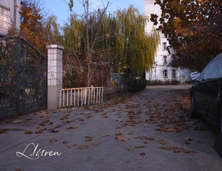 S02DIM3874_3-88-00