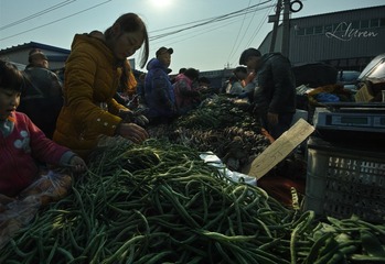 SDIM4248_88-00