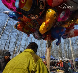 SDIM4053_88-00