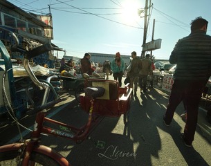 SDIM44743_88-00