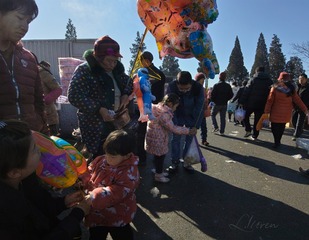 SDIM7949_88-00
